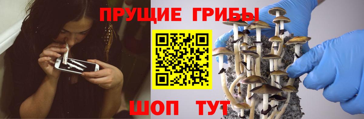 Псилоцибиновые грибы Cubensis Щёлково
